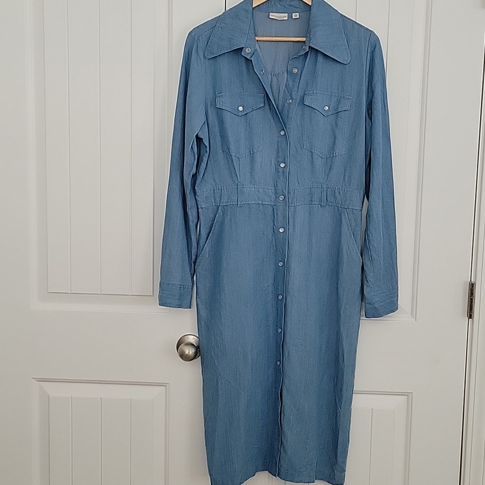 Eva Mendes for New York & Company Long Sleeve Blue Dress